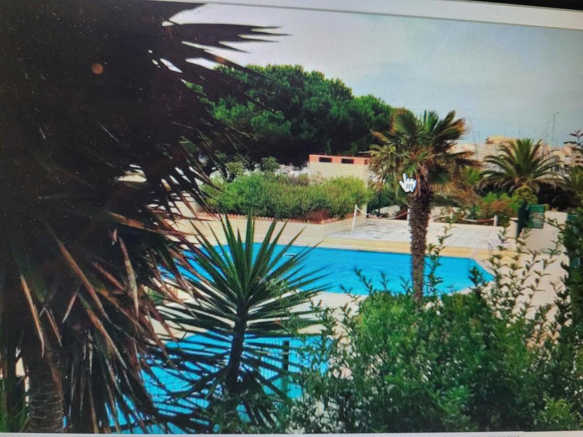 Studio Cap D Agde Vue Port מראה חיצוני תמונה